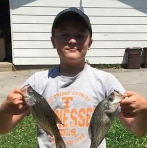 Meet your Posher, Colt